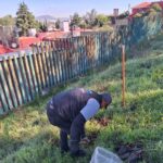 Gobierno de Metepec inicia arborización y reforestación 2026