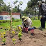 Impulsa Toluca la instalación de 100 jardines polinizadores
