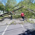 Atiende Gobierno municipal afectaciones por lluvias