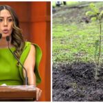 Presenta Diputada Vanessa Linares iniciativa para instituir el Día Estatal de la Reforestación cada 12 de julio