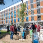 Comienza Ricardo Moreno sustitución de árboles secos de Paseo Colón por encinos siempre verdes