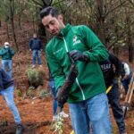 Verde se suma a Jornada Nacional de Reforestación que impulsan Claudia Sheinbaum y Delfina Gómez