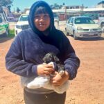 Celebra Almoloya de Juárez el Día Mundial del Perro Adoptado con casi 50 adopciones