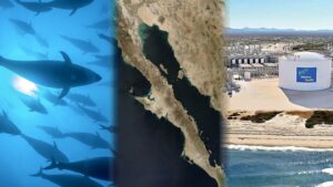 COLUMNA CON SENTIDO